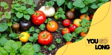 How to grow your own vegetables in small garden spaces
