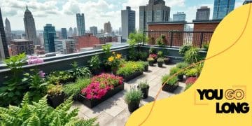 How to set up a rooftop garden in the city