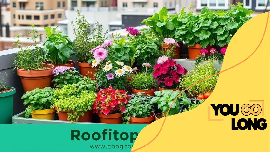 Choosing the right plants for your rooftop garden