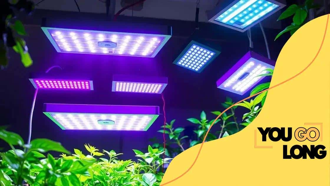Creating the perfect lighting for year-round growth