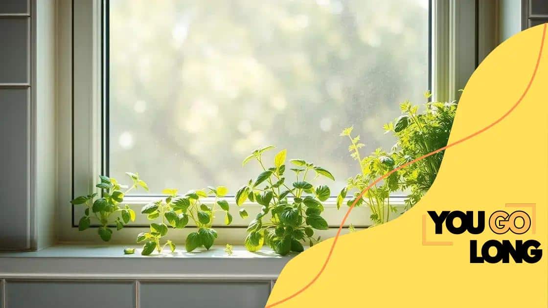 Ideal locations for your herb garden
