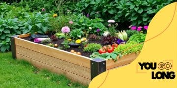 How to build your own raised garden beds for success