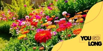 The best outdoor plants for sunny gardens
