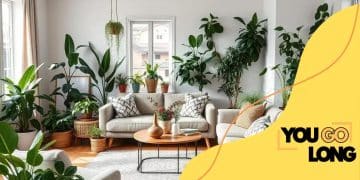 How to decorate your home with indoor plants