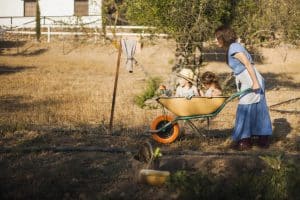 Homestead core trend