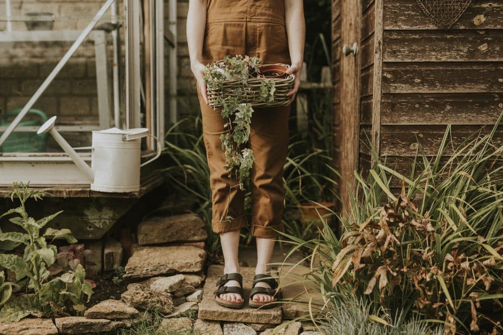 Homestead core trend 2025: Embracing the future