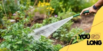 Water-use rules for residential irrigation 2025: Know everything about it Water-use rules for residential irrigation 2025