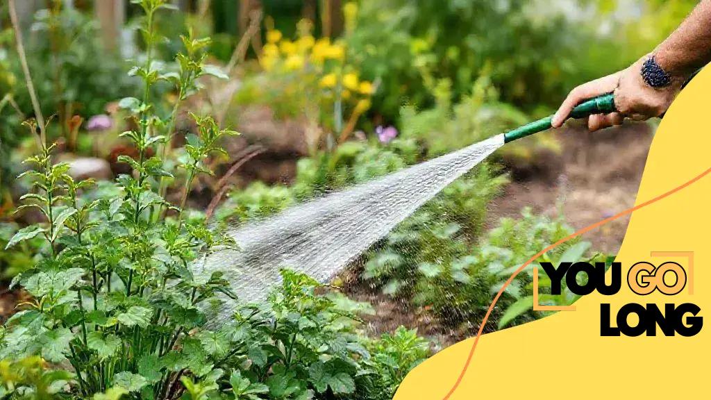 Water-use rules for residential irrigation 2025: Know everything about it